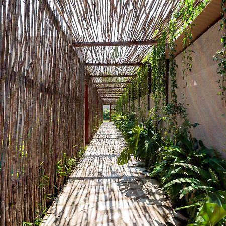 Natu Boutique Stays São Miguel dos Milagres Kültér fotó